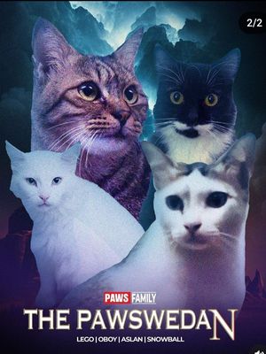 Empat ekor kucing peliharaan Anies Baswedan, yakni Aslan, Snowball, Lego, dan Oboy. 