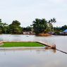 917,5 Ha Lahan di Sumut Terkena Banjir, Kementan Siapkan Bantuan Benih Padi