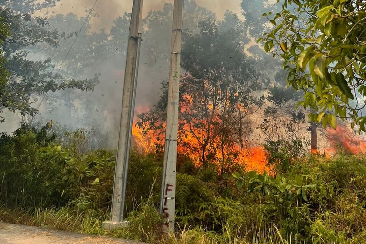 Kebakaran lahan di komplek perkantoran gubernur Bangka Belitung yang nyaris menghanguskan infrastruktur kelistrikan.