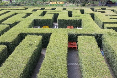 Sulitnya Mencari Air Mancur di Taman Coban Rondo, Ada yang Pernah Berhasil?