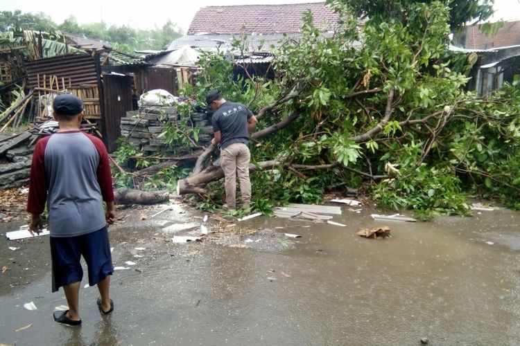 Rumah rusak dan pohon tumbang akibat hujan deras disertai angin kencang di Desa Darungan, Kecamatan Pare, Kabupaten Kediri, Jawa Timur, Senin (25/11/2019).
