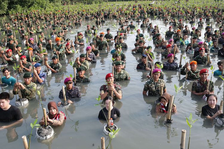 Anggota TNI, polisi, dan pramuka saat melaksanakan acara puncak penanaman mangrove serentak seluruh Indonesia yang digelar Tentara Nasional Indonesia di Taman Wisata Alam Kapuk Angke, Jakarta, Senin (15/5/2023).