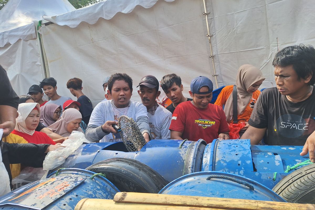 Momen Warga Berebut Ikan Mas dan Lele saat Pramono Anung Kampanye di Danau Sunter