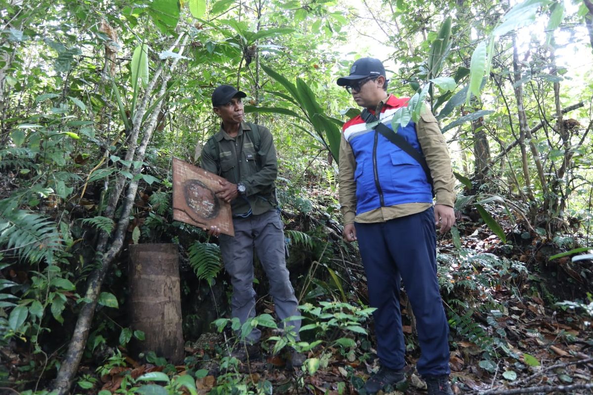 Pertamina EP Donggi Matindok Field (PEP DMF) ajak masyarakat adat Togong Tanga di Banggai, Sulawesi Tengah, untuk membudidayakan lebah di Hutan Kokolomboi di wilayah setempat, untuk mecegah deforestasi. 