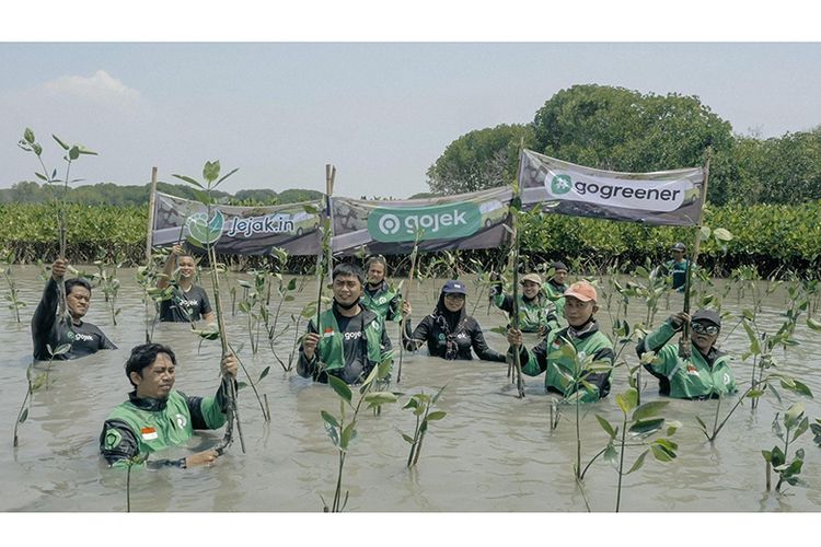 Demi mengurangi jejak karbon, Gojek menghadirkan layanan transportasi ramah lingkungan melalui program terbarunya, yakni Pohon Kolektif GoGreener (GoGreener Tree Collective).