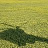 Hasil Investigasi Temukan Bagaimana Cara Rusia Mencuri Hasil Panen Pertanian Ukraina