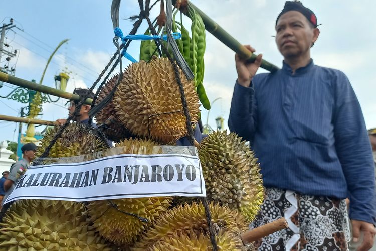 Durian dari Kulon Progo Curi Perhatian Saat Kirab HUT Sultan HB X, Penonton: Saya Mau Satu