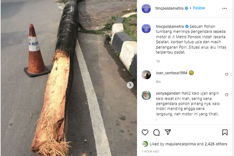 Tangkapan layar unggahan akun @tmcpoldametro mengabarkan laka tunggal pemotor tertimpa pohon.