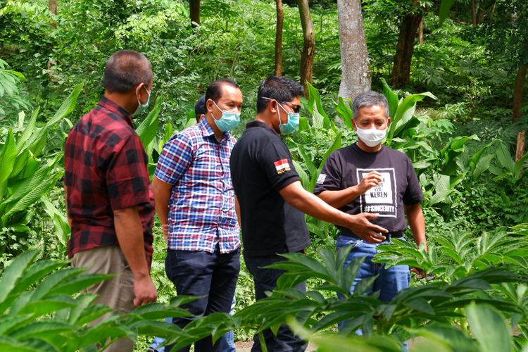 Direktur Bisnis Mikro BRI Supari sedang berdiskusi denganketua kelompok petani porang Desa Klangon.