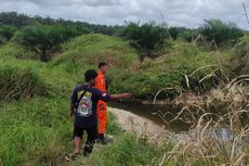 Bocah Perempuan 8 Tahun Dilaporkan Hilang di Kebun Sawit Bangka Belitung