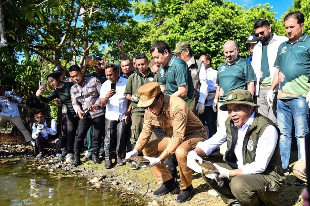 Menhut Raja Juli Antoni (berjongkok, kanan) memimpin pelepasliaran satwa endemik 20 ekor kura-kura leher ular Rote (Chelodina mccordi) di habitat aslinya Danau Ledulu, Kabupaten Rote Ndao, NTT, Selasa (21/10/2025).