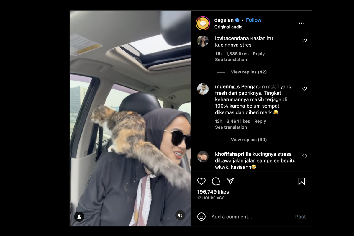 Video viral kucing buang tahi di mobil