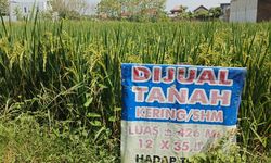 Mengenal Hak Pakai, Kepemilikan Tanah yang Bisa Dikuasai WNA