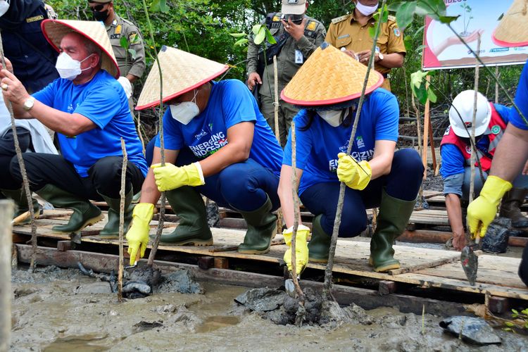 Kegiatan penanaman 21.000 mangrove untuk Indonesia dalam rangka peringatan hari jadi PT Indika Energy Tbk yang ke-21, di Desa Pondong, Kabupaten Paser, Kalimantan Timur (Kaltim), Senin (11/10/2021).