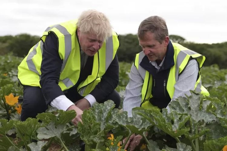 Pemerintahan mantan PM Boris Johnson sebelumnya berjanji untuk mempertahankan skema pekerja musiman setidaknya sampai akhir 2024.