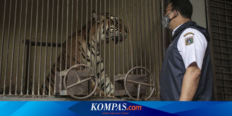 Dicari Pengganti Anies Baswedan, Ridwan Kamil, Ganjar Pranowo, Khofifah, dan Lainnya - Vimarsana News