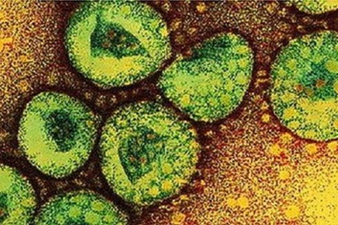Pantau Persebaran Virus Corona Lewat Peta Online Ini