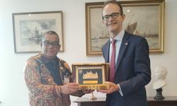 Gubernur Edy Temui Dubes Inggris untuk Bahas Isu Lingkungan di Riau