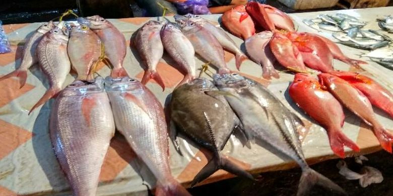 The catch at the Biak Fish Market