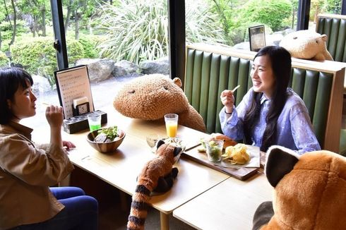 Lucu Banget! Kafe Kebun Binatang di Jepang Dipenuhi Boneka Kapibara untuk Jaga Jarak