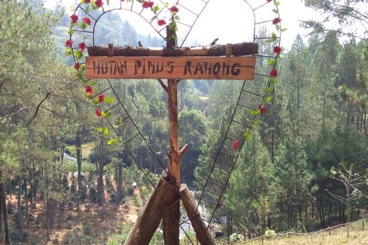Hutan Pinus Rahong adalah tempat wisata di Kabupaten Bandung, Jawa Barat. 