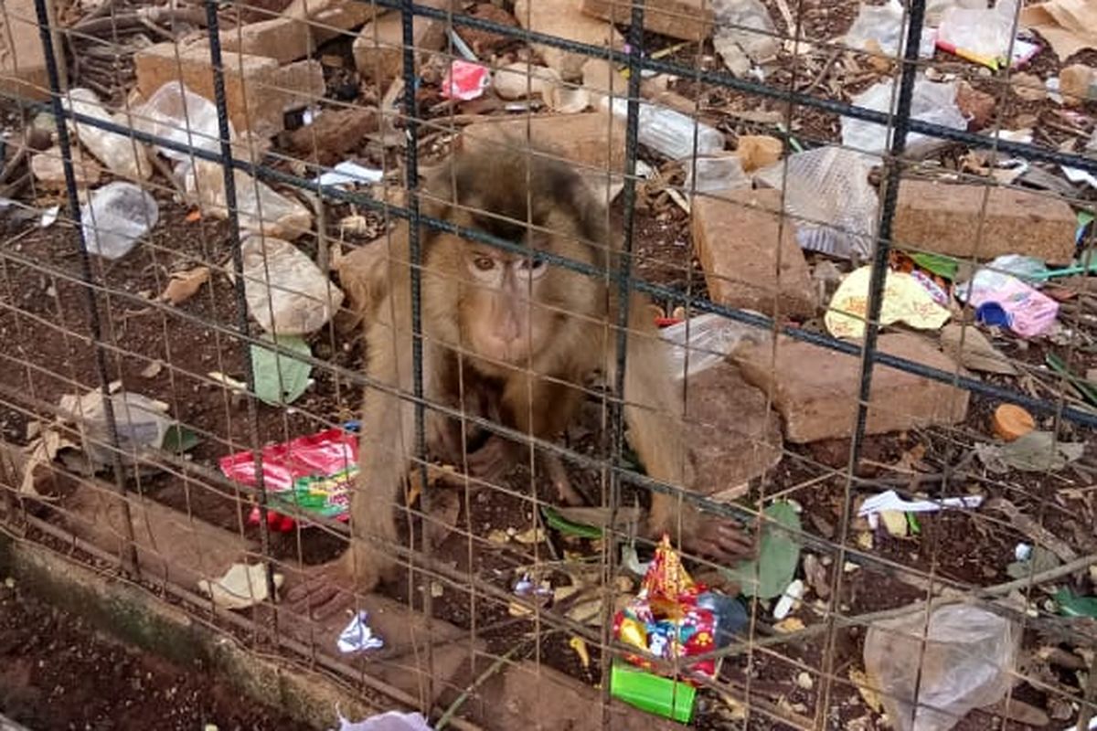 Kondisi tidak layak Kolam Tirta Gupti, Cilodong, Depok, Jawa Barat.