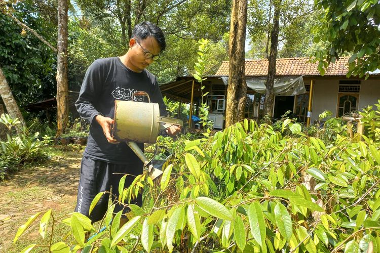 Ahmad Faisol (27), warga Kecamatan Kemranjen Kabupaten Banyumas ini sukses budidaya bibit durian hingga jual beli buahnya. Ia menjalani bisnis durian bawor ini sejak setahun yang lalu, setelah menyelesaikan pendidikan di Pondok Pesantren An-Nawawi Berjan, Purworejo Jawa Tengah.
