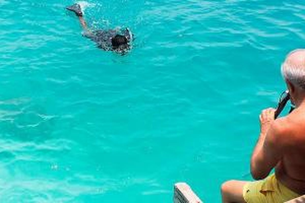 Sejumlah wisatawan asing melakukan snorkeling di kawasan pantai Pulau Sepa, salah satu pulau resor di Kepulauan Seribu, Jakarta, Rabu (7/10/2015).