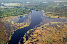 Seperti Apa Sungai dengan Air Paling Hitam di Dunia?