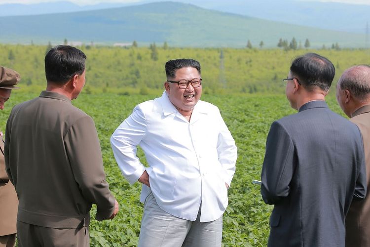 Dalam foto tanpa tanggal yang dirilis media Korea Utara KCNA pada 10 Juli, terlihat Kim Jong Un berdiri dan tertawa saat berkunjung ke ladang kentang di Samjiyon.(AFP/KCNA VIA KNS)