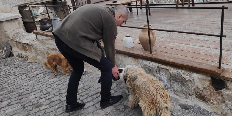 Pencinta Kucing Dan Anjing Coba Liburan Ke Turki Deh