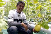 Kalah dalam Pilkada Kota Blitar, Bayu Bangkit dengan Budidaya Melon Hidroponik