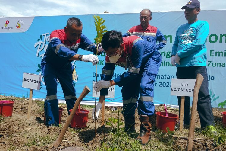 PT Pertamina EP Cepu (PEPC) Zona 12 bersama SKK Migas mengadakan program bertema Tanam Pohon Tekan Emisi Karbon di Kabupaten Bojonegoro, Jawa Timur, Kamis (27/10/2022).