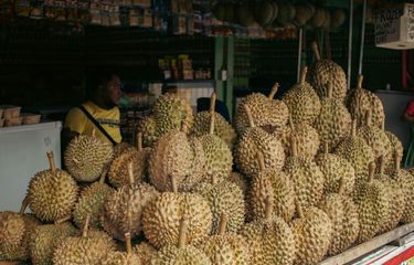 POPULER MONEY] Nilai Ekspor Durian RI Rp 29,4 Miliar, tapi Nilai ...
