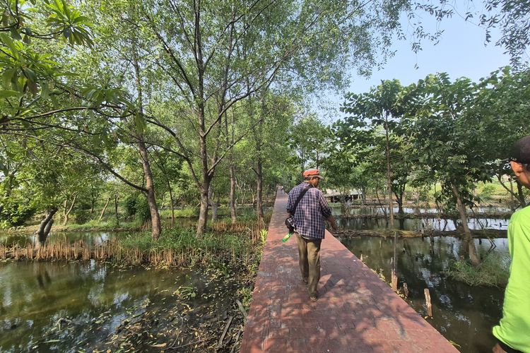 Hutan di Gang Sempit Rorotan Jadi Penyelamat Paru-paru Warga dari Debu Kontainer