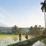 Mengenal Desa Tetebatu di NTB, Keindahannya Diakui Dunia