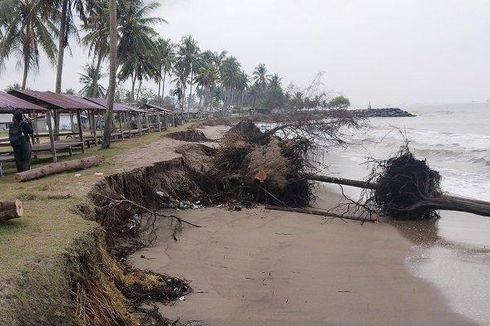 Dalam 2 Bulan, 50 Meter Pantai di Padang Terkikis Abrasi