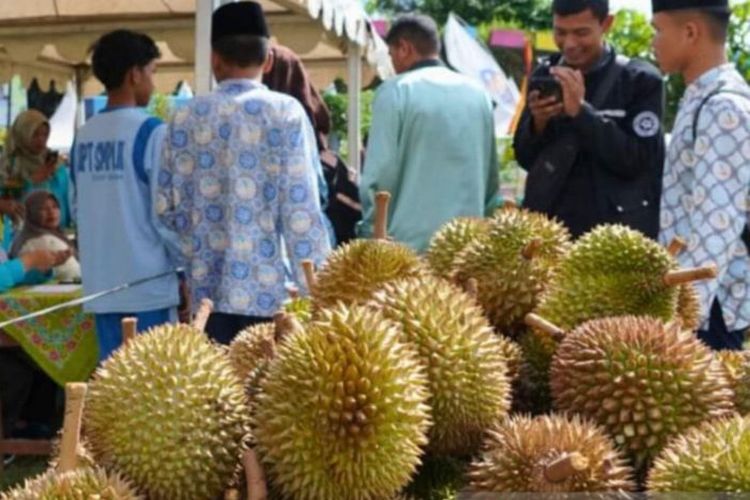 Sejumlah peserta memilih dan membuka durian pada ajang festival durian Solok Selatan yang merupakan pelajar SMP dan SMA mempersiapkan diri dan mendaftar di meja panitia lomba. 