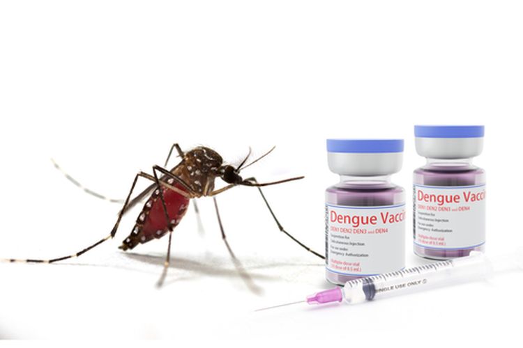 Ilustrasi imunisasi dengue dengan vaksin dengue untuk mencegah demam berdarah. Kenali manfaat, jenis, dan efek samping imunisasi dengue. 