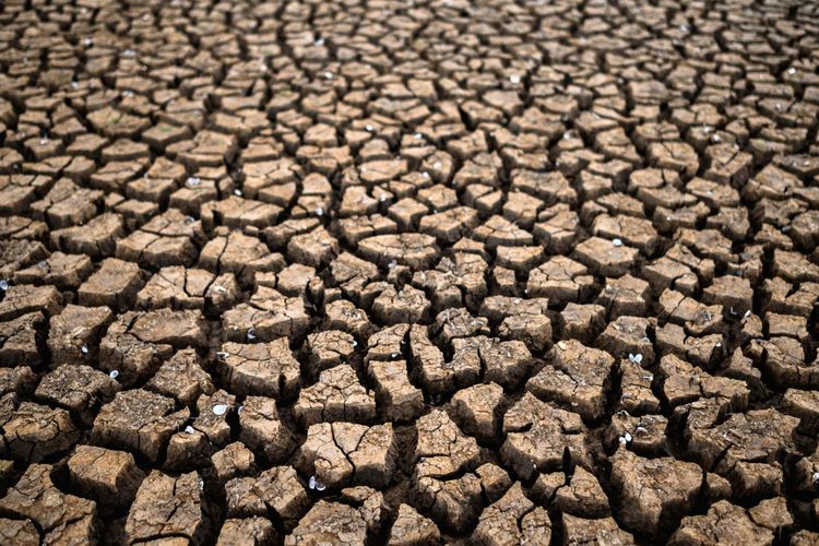 Puncak Kemarau, 23 Desa di Kabupaten Bekasi Terdampak Kekeringan