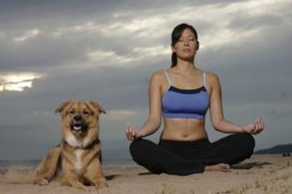 Doga, salah satu jenis yoga yang melibatkan anjing sebagai partner olahraga.