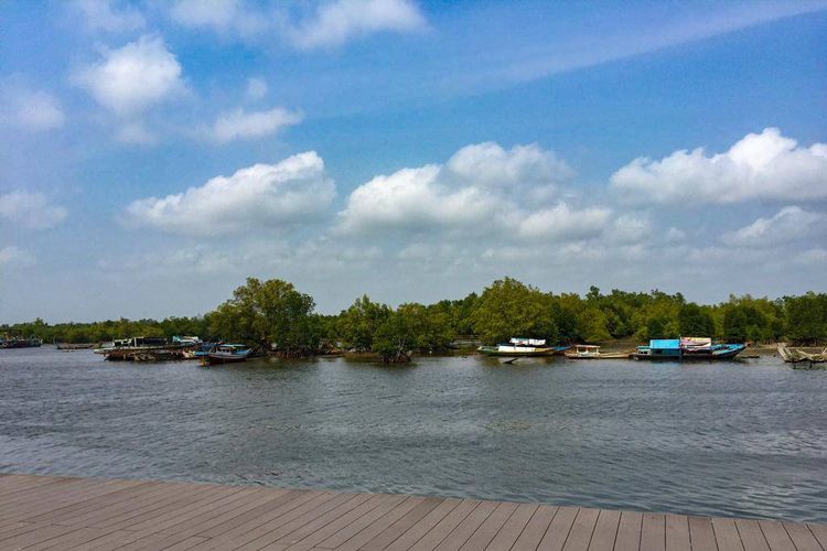 Wisata Mangrove Bengkulu, Kota Bengkulu