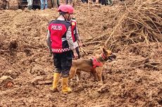 Kemenag: Bakal Ada BSU Rp 270 Miliar buat Guru Non-sertifikasi