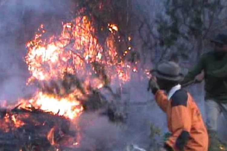 Relawan mencoba memadamkan api di lereng Gunung Lawu, Sabtu (17/10/2015). 