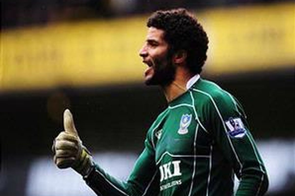 David James siap mengemban tanggung jawab penjaga gawang.