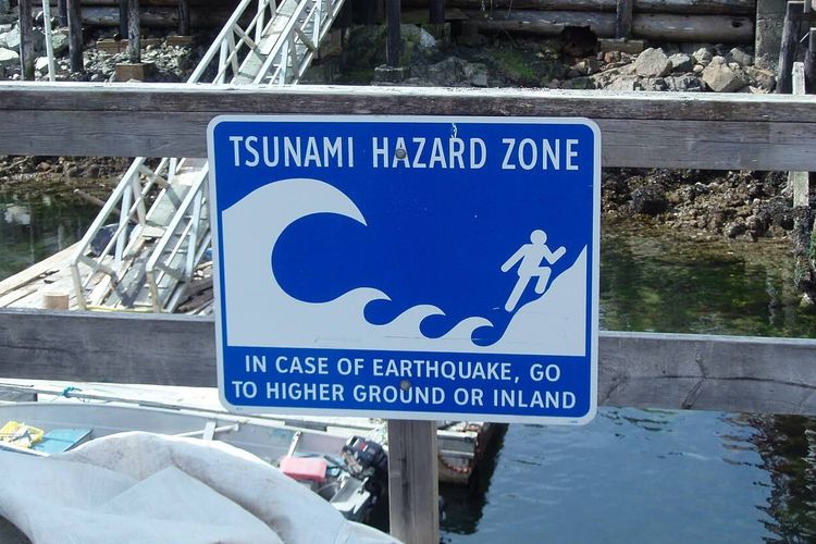 Peringatan tsunami di berbagai wilayah pasca letusan gunung berapi bawah laut di Tonga telah dicabut. 