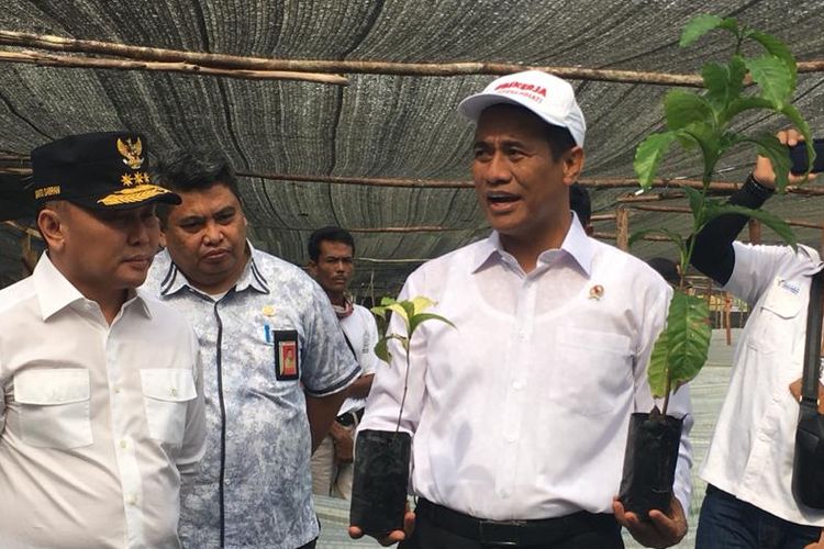 Menteri Pertanian Andi Amran Sulaiman menunjukkan dua bibit unggul tanaman kopi, salah satu dari 10 jenis komoditas perkebunan yang masuk ke dalam program BUN500.