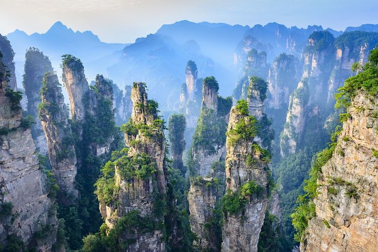 Ilustrasi China - Pemandangan Gunung Avatar di Zhangjiajie National Forest Park.