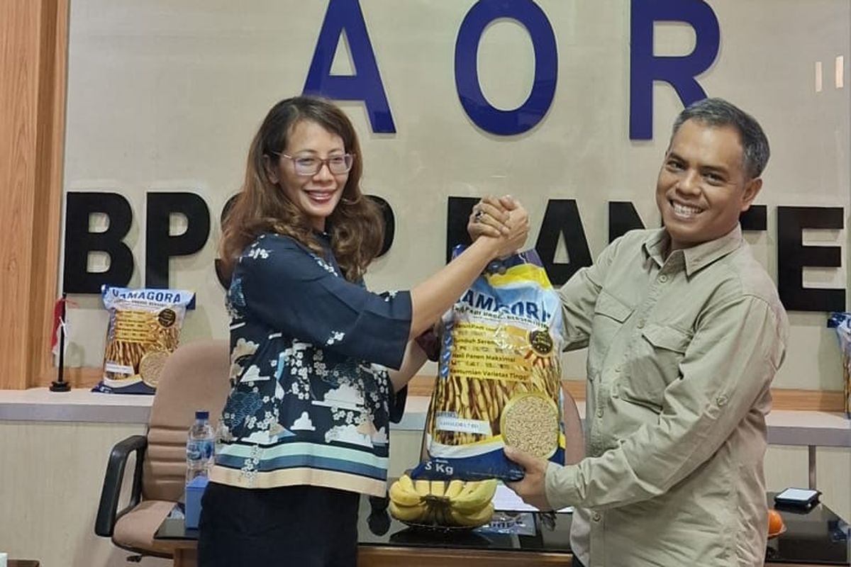 Kementerian Pertanian (Kementan) menyerahkan bantuan benih padi varietas gamagora 7 sebanyak 400 kilogram kg hasil penelitian dari Universitas Gadjah Mada (UGM)  kepada petani di Kota Serang, Banten.