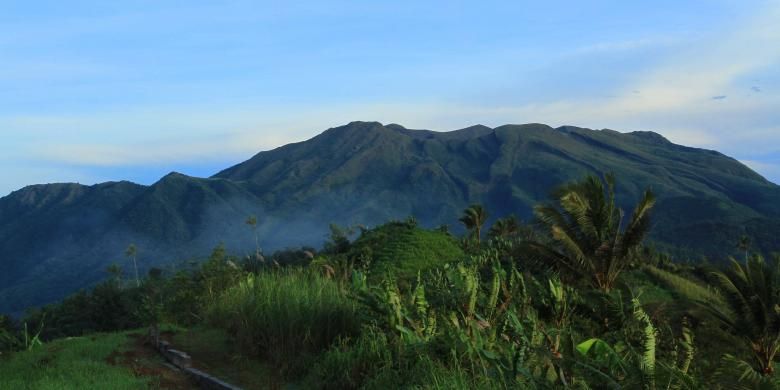 Kawasan hutan di sekitar Gunung Awu, Kabupaten Sangihe, Sulawesi Utara.